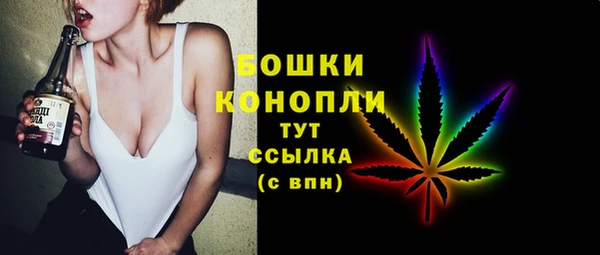 дмт Котовск