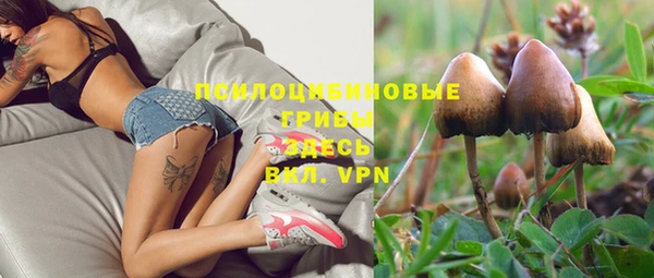 крисы Нефтегорск