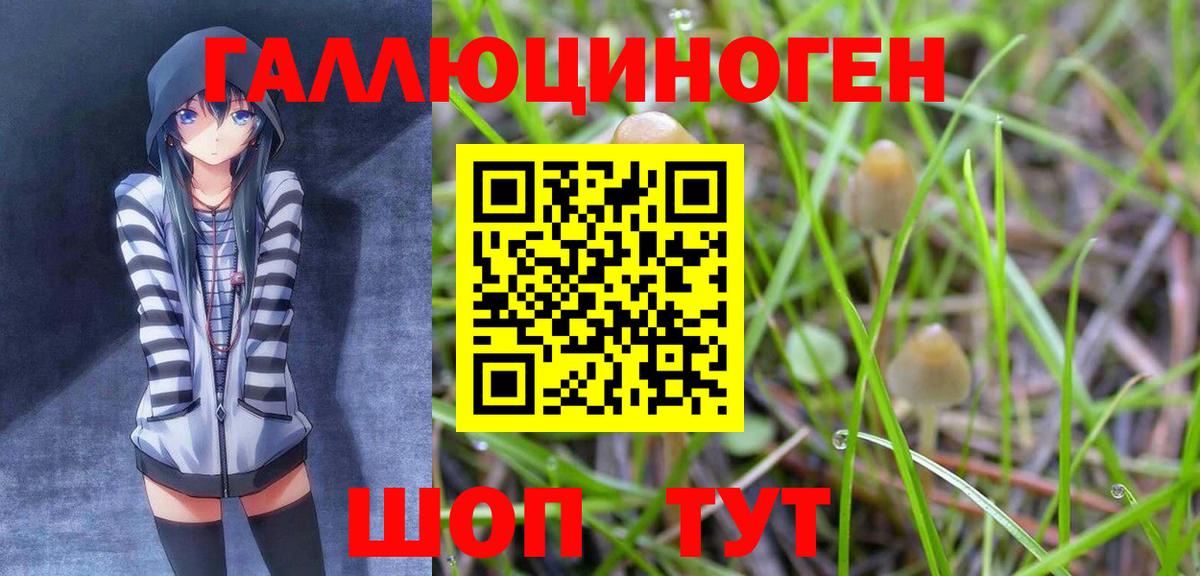 Галлюциногенные грибы Cubensis Лысьва